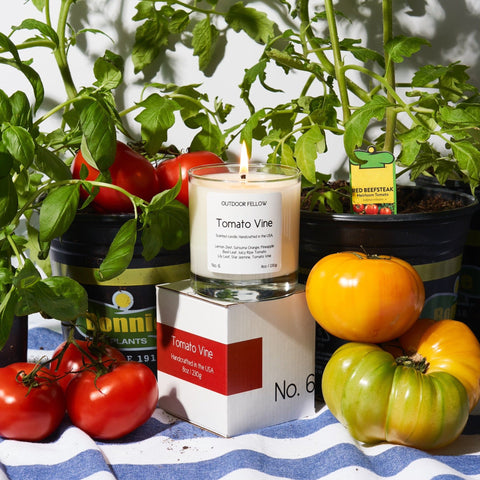 Tomato Vine Scented Candle by Outdoor Fellow