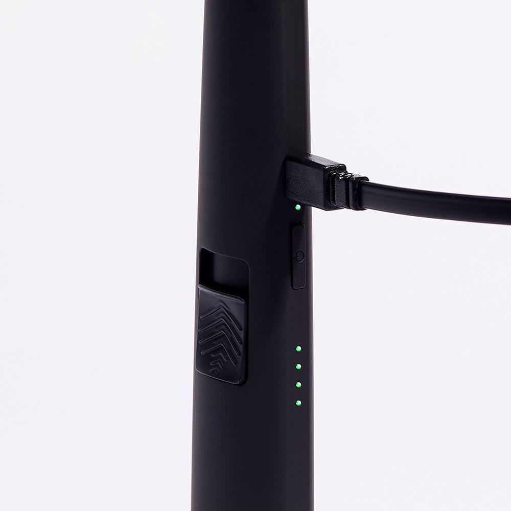 The Motli Light® - Anaconda – The USB Lighter Company